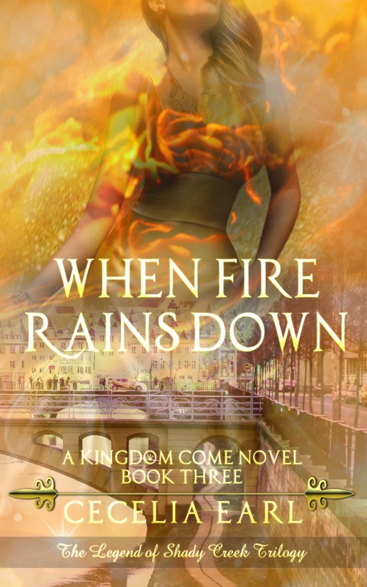 When Fire Rains Down Front Cover